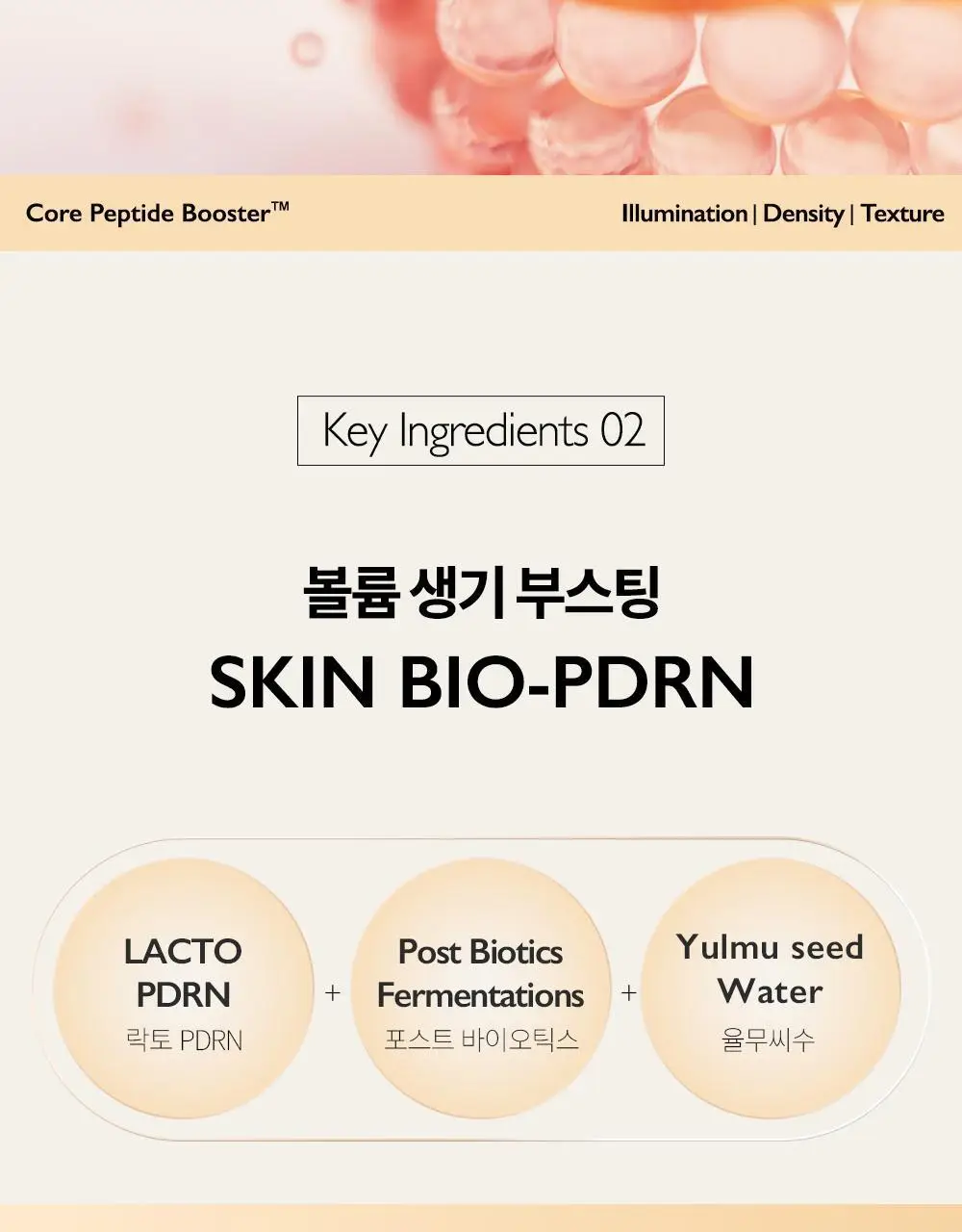 [단독기획] 비디비치 누드 퍼펙션 스킨 핏 틴티드 비비크림 (본품+미니 증정기획) 상세페이지 32
